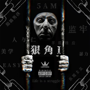 ai换脸成人视频
